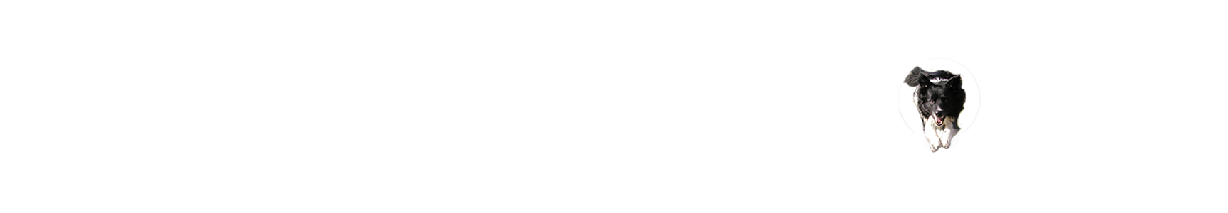 Crossing Marlowe gGmbH | Logo, Weiß